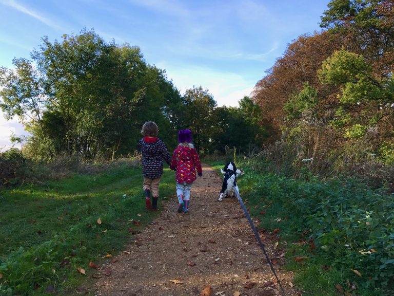 An autumnal walk in the woods #CountryKids