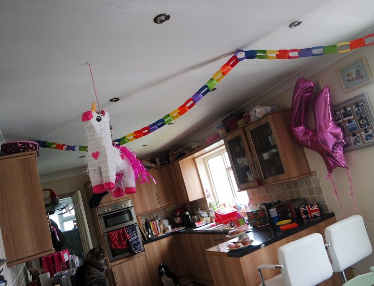 Isla’s Plasticine & Unicorn themed birthday party