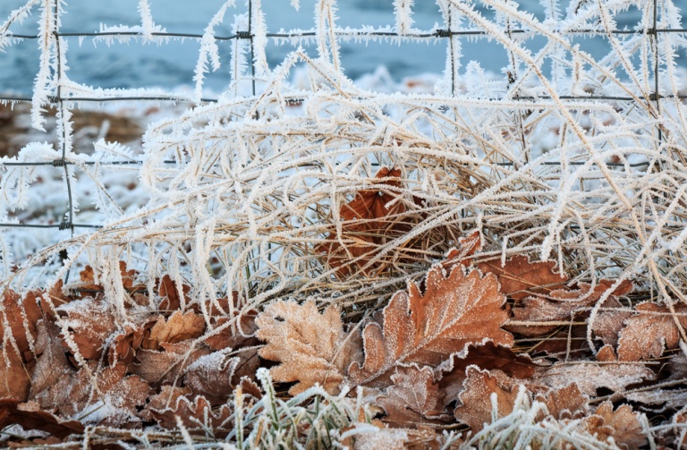 5 top tips to get the garden ready, Winter is coming