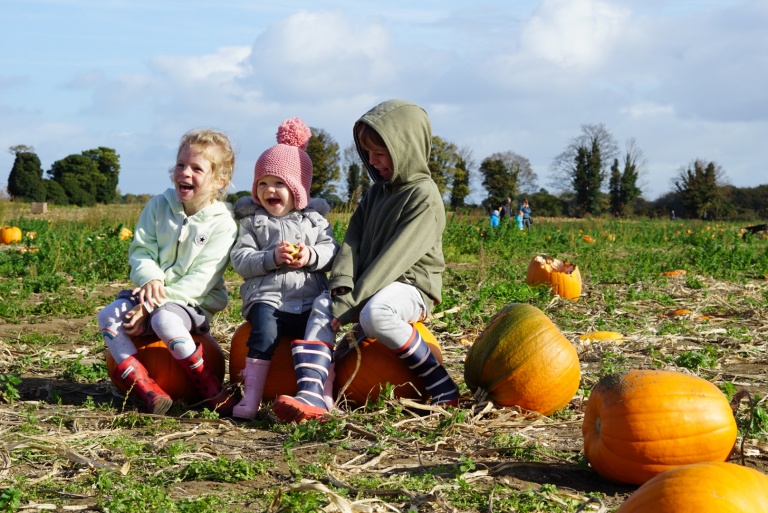 Pick your own pumpkins and a maize maze #Outdoorfun