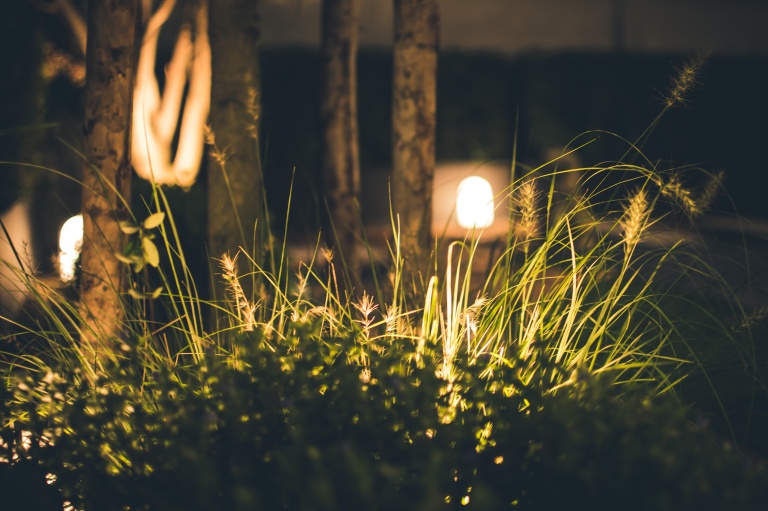 Keeping the cost of your garden lighting under control