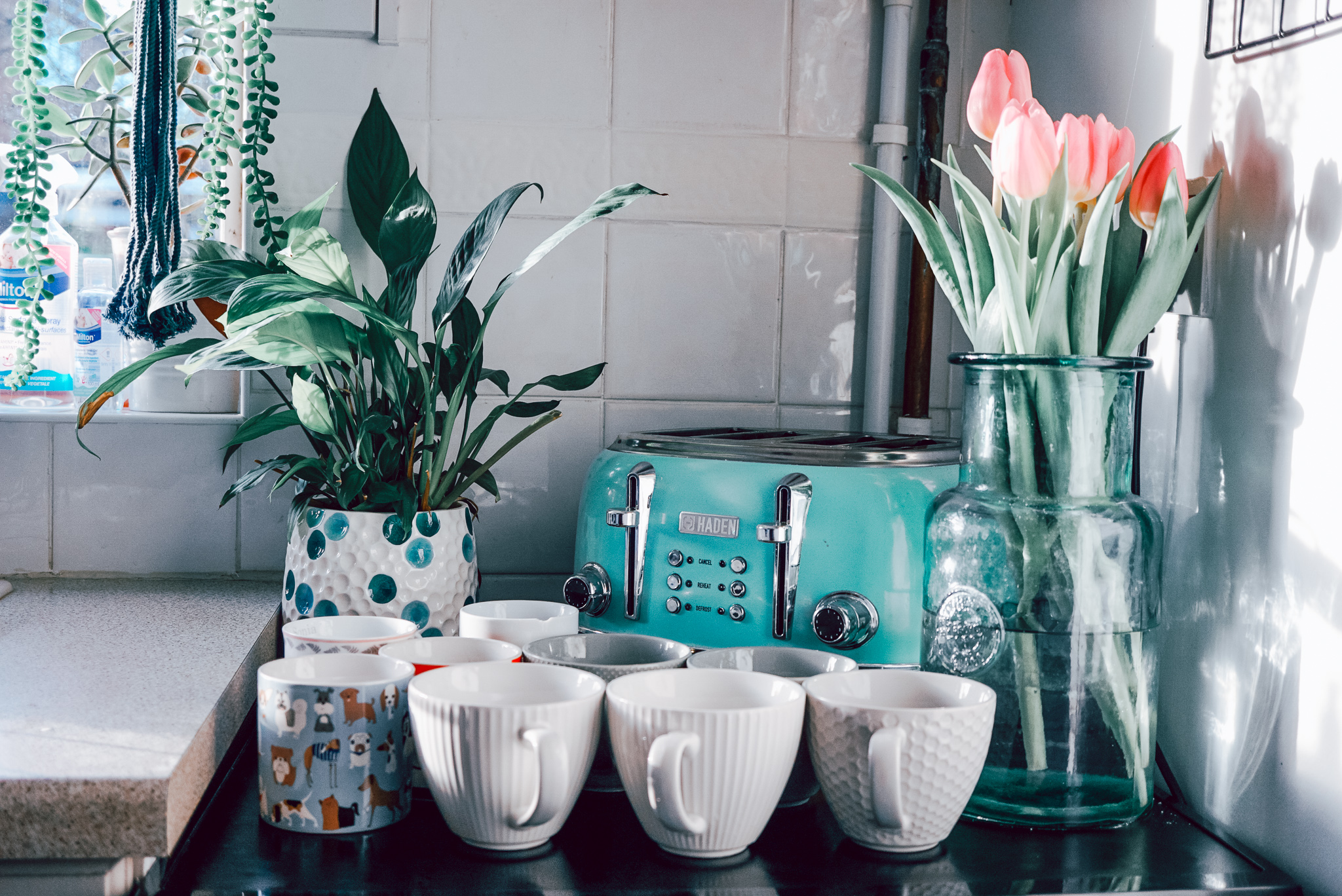 How to make your cups sparkle like new with Cup Clean - MummyConstant